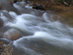 [White water in a stream in Conyers, Georgia]