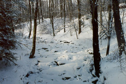 [Snowy Creek in Rockland Township, Pennsylvania]